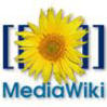 Best MediaWiki Hosting Reviews