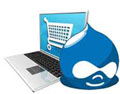 Best Web Hosting for Drupal eCommerce  - Bluehost, Godaddy or Hostgator?